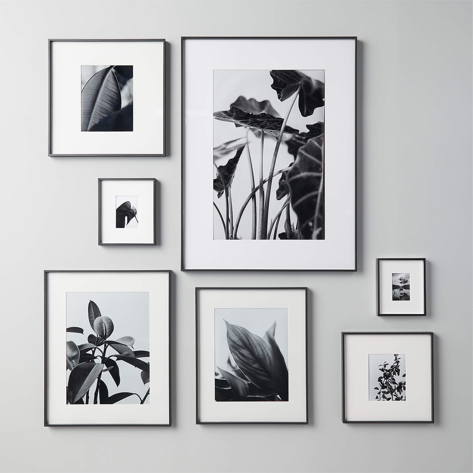 Gallery Black Picture Frames with White Mats CB2 Canada