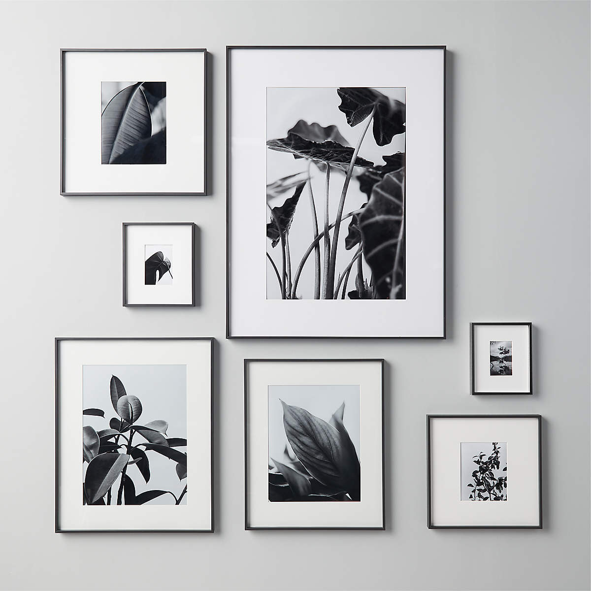 Gallery Black Picture Frames with White Mats CB2
