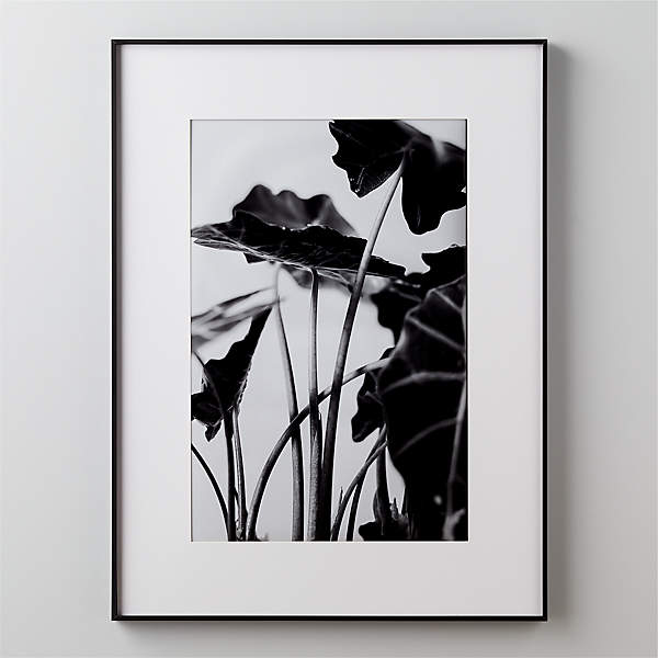 Legende Undtagelse Tilladelse Gallery Soft Black Picture Frame with White Mat 24"x36" + Reviews | CB2