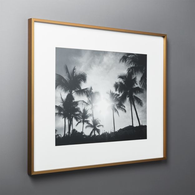 Gallery Brass Frame with White Mat 16x20 + Reviews CB2