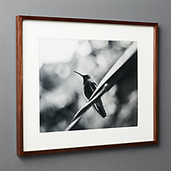 Gallery Walnut Frame with White Mat 16x20