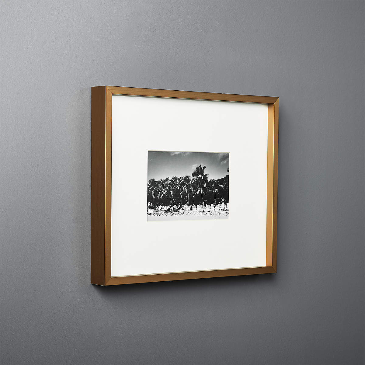 Gallery Brass Picture Frame with White Mat 4"x6" + Reviews CB2