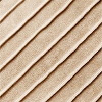 Light Taupe
