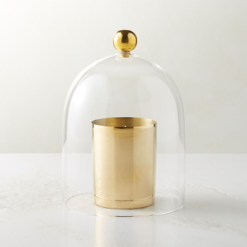 Glass Cloche with Unlacquered Brass Knob - image 0 of 12