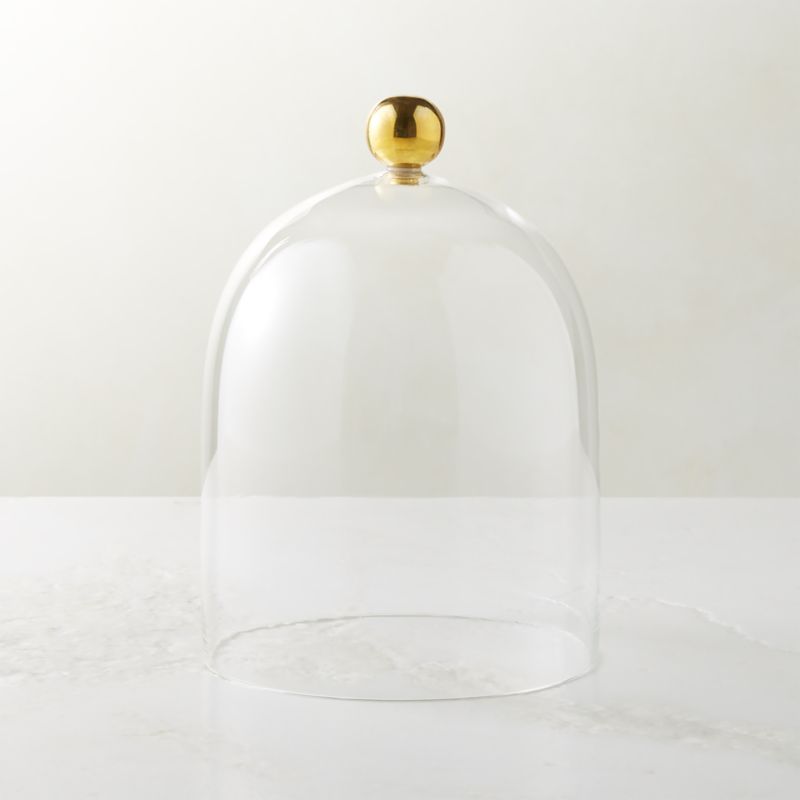 Glass Cloche with Unlacquered Brass Knob + Reviews | CB2