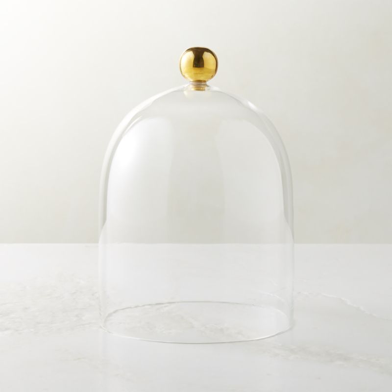 Glass Cloche + Reviews | CB2