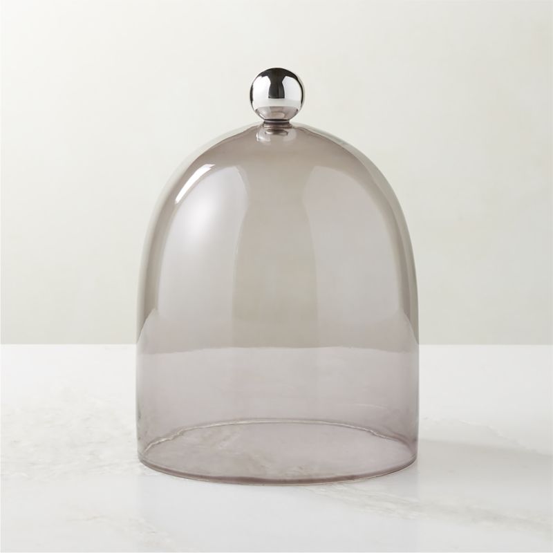 View Smoked Glass Cloche with Stainless Steel Knob details