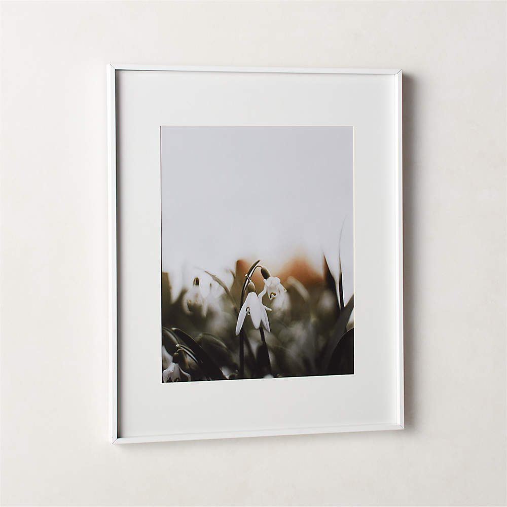 Gallery Brass Picture Frames with White Mats