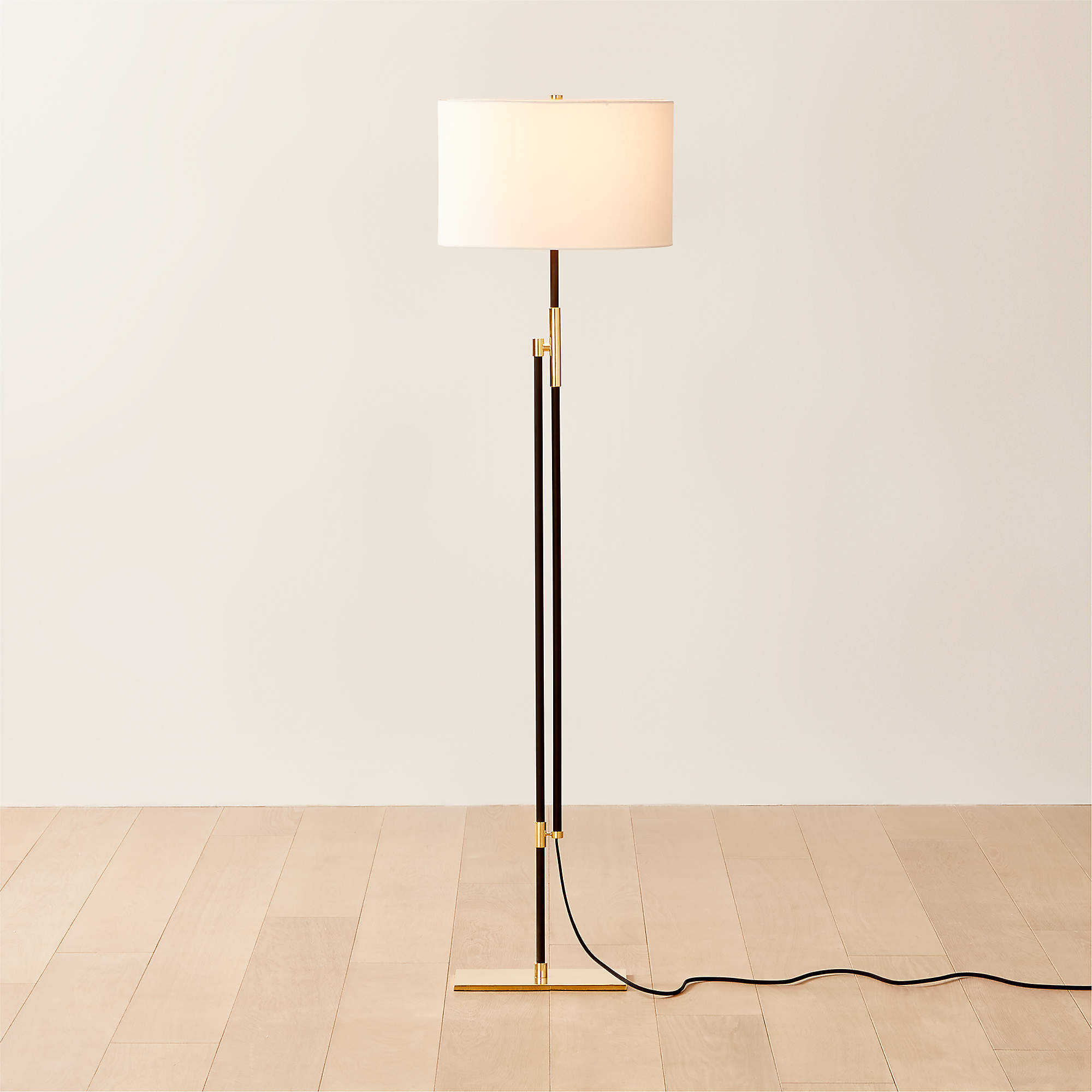 Greco Modern Matte Black and Polished Brass Floor Lamp | CB2