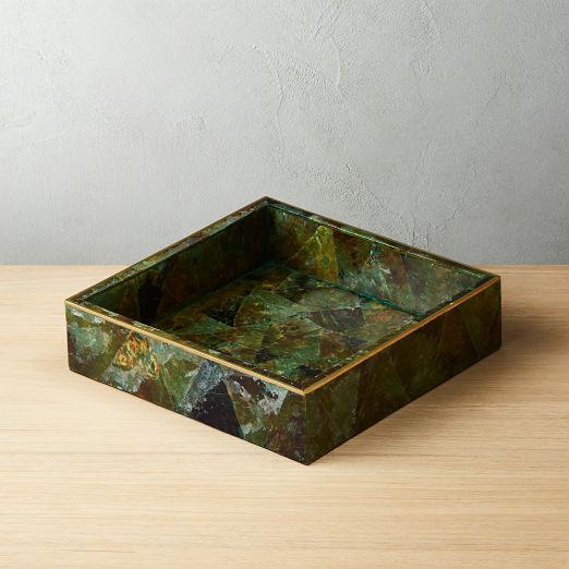 Decorative Coffee Table Trays Cb2 Green Pen Shell Tray