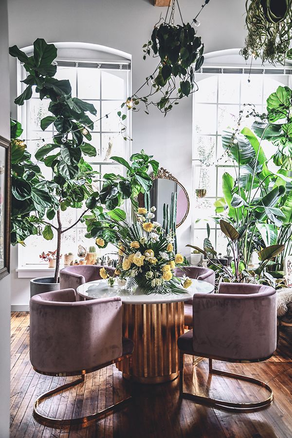 Modern planter ideas with Hilton Carter and CB2