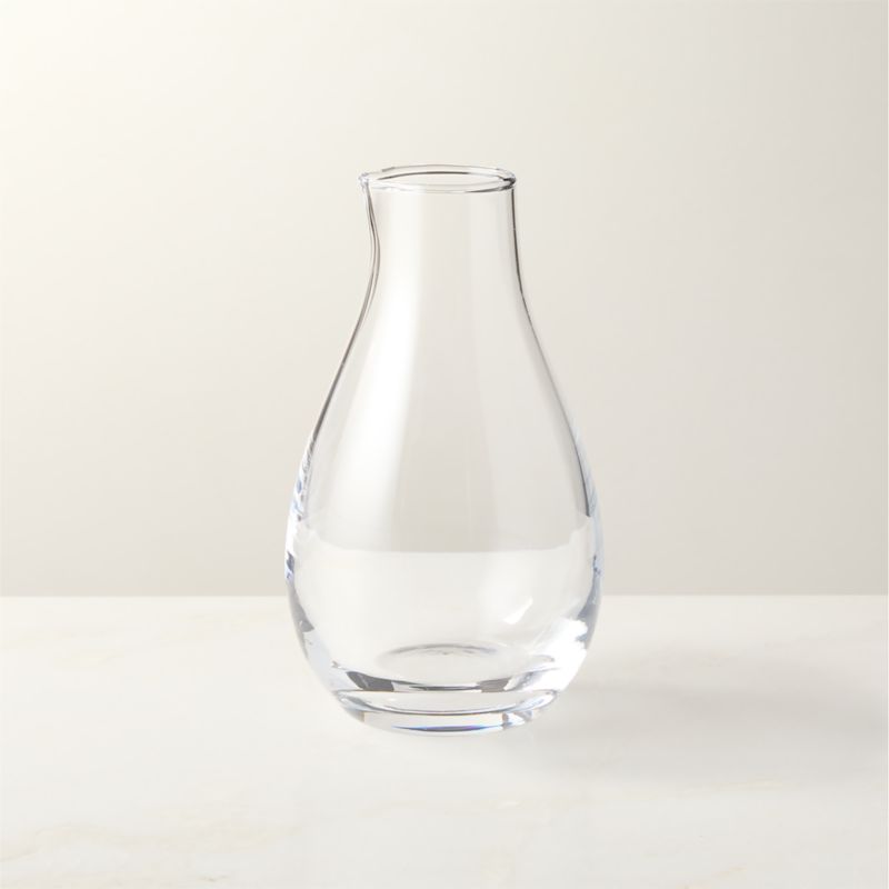 Haru Glass Sake Carafe - image 0 of 5