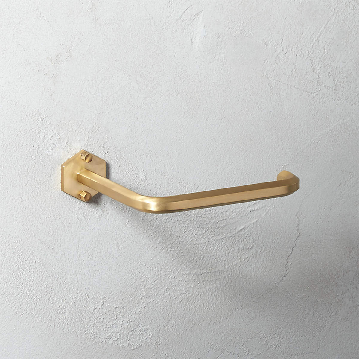 Hex Brass Wall Mounted Toilet Paper Holder + Reviews CB2