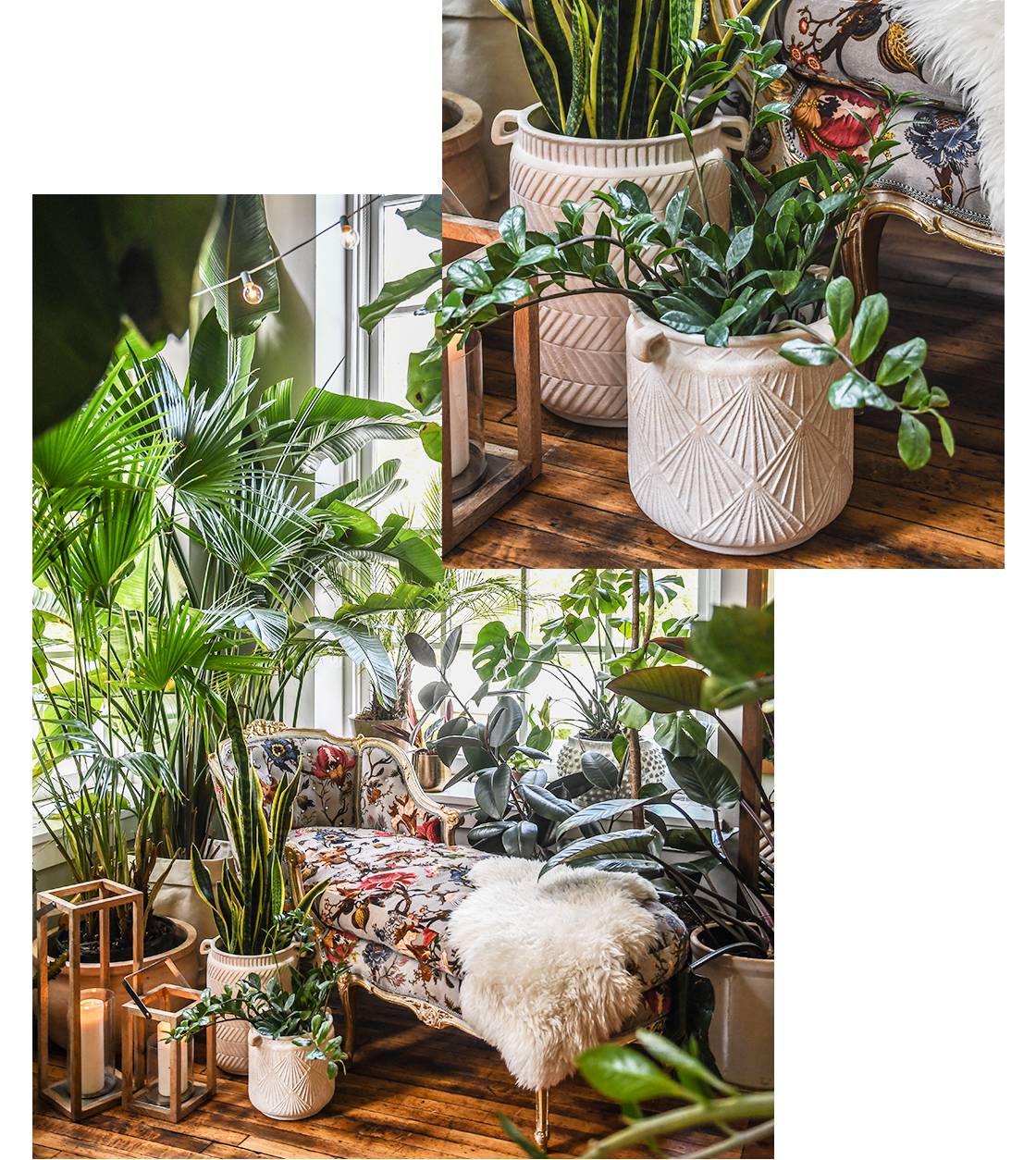 Modern planter ideas with Hilton Carter and CB2