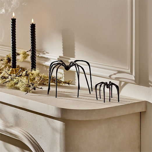 Huntsman Black Cast Aluminum Halloween Decorative Spider Set of 2