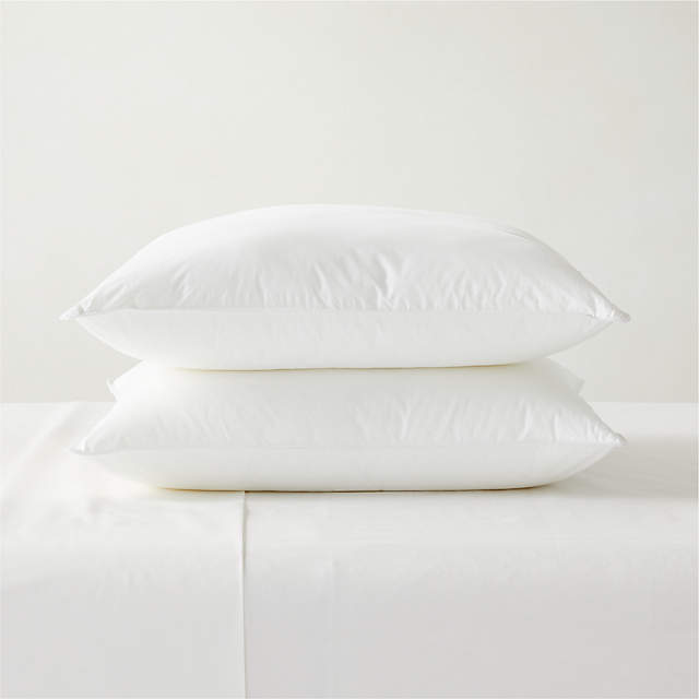 Cheap euro sales pillow inserts