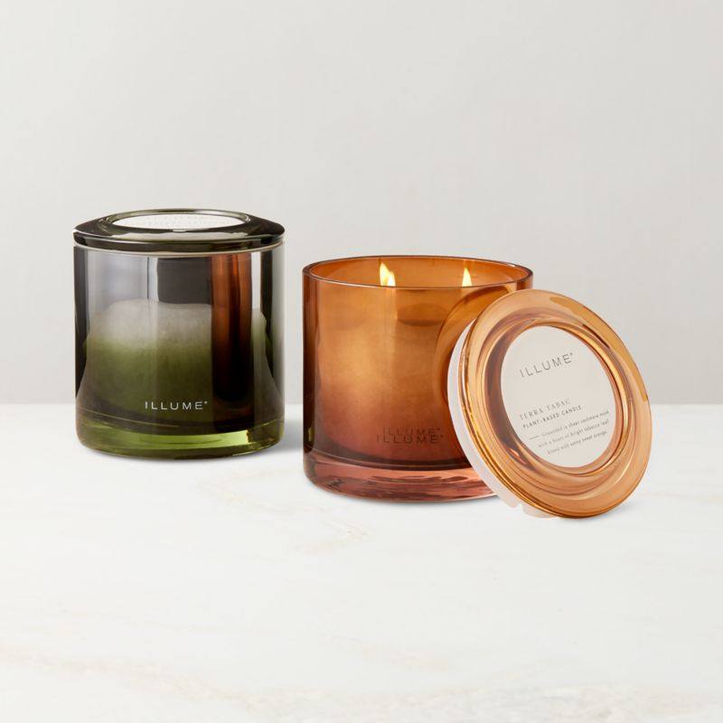 Illume Blackberry Absinthe Scented Candle 20.8oz - image 2 of 3