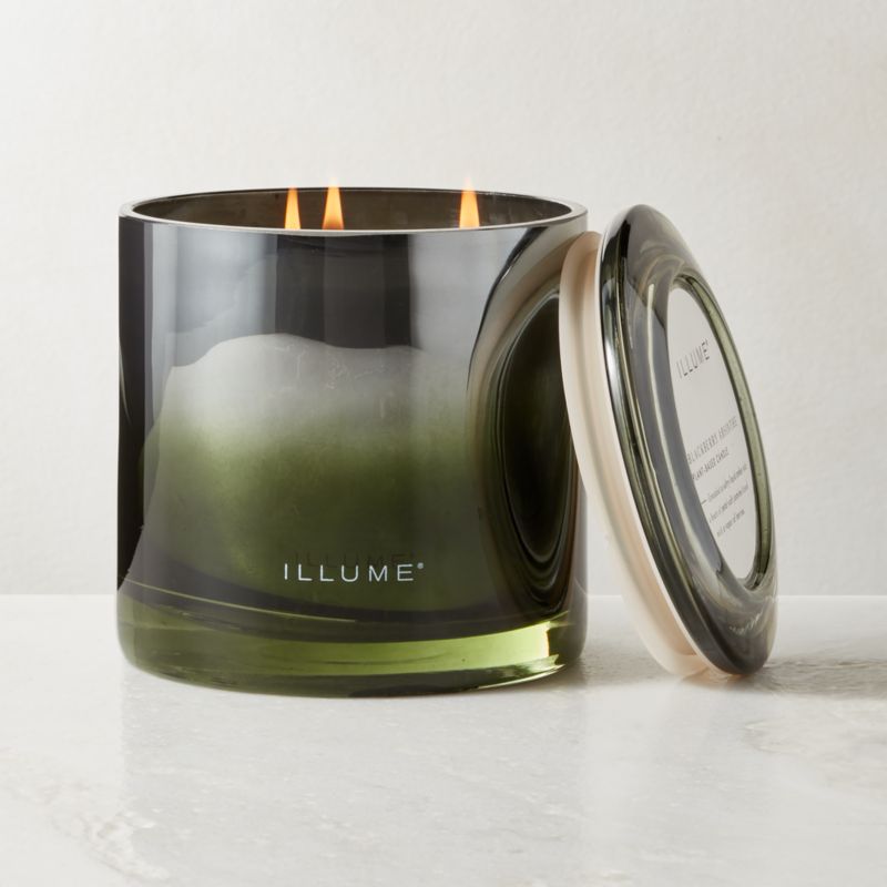 Illume Blackberry + Absinthe Scented Candle 20.8oz - image 0 of 2