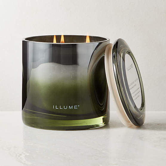 Illume Blackberry + Absinthe Scented Candle 20.8oz