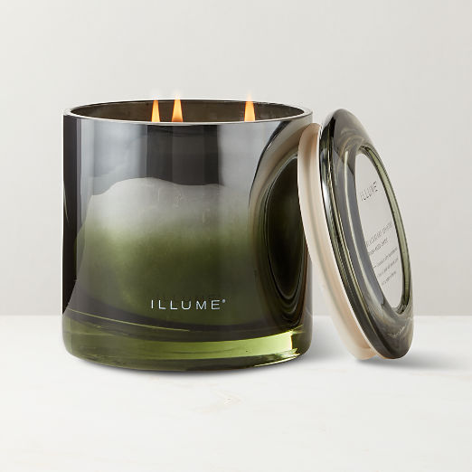 Illume Blackberry Absinthe Scented Candle 20.8oz