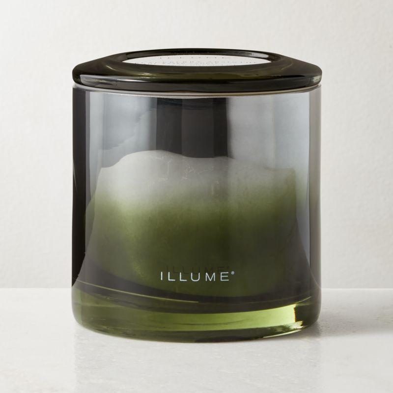 Illume Blackberry + Absinthe Scented Candle 20.8oz - image 1 of 2