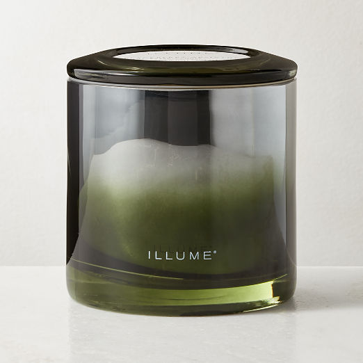 Illume Blackberry Absinthe Scented Candle 20.8oz