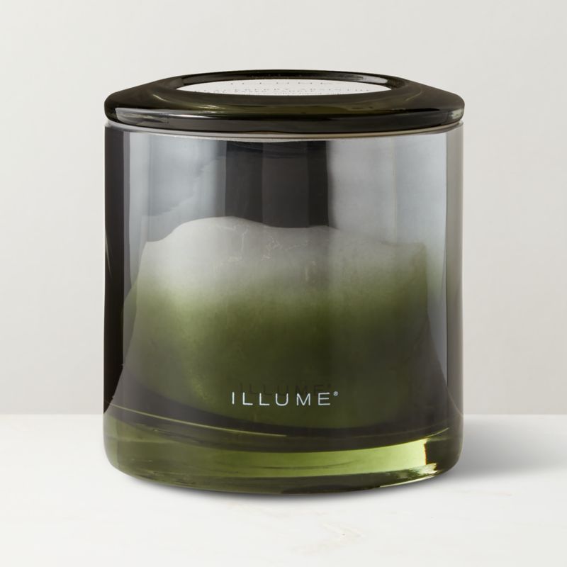 Illume Blackberry Absinthe Scented Candle 20.8oz - image 1 of 3