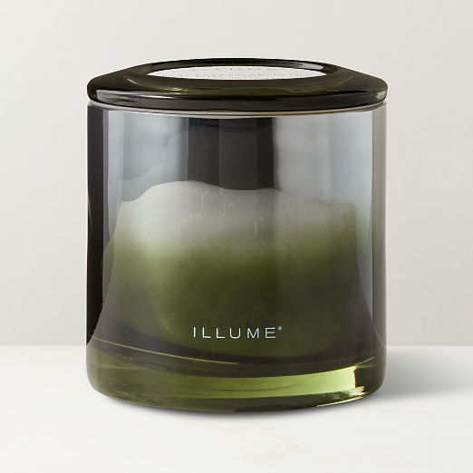 Illume Blackberry Absinthe Scented Candle 20.8oz