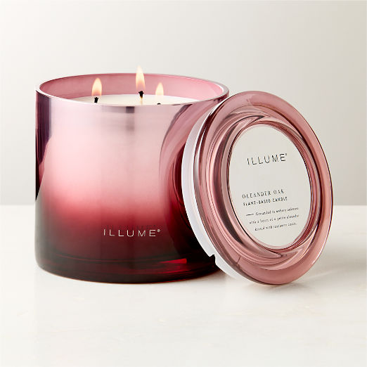 Illume Oleander + Oak Scented Candle 20.8oz