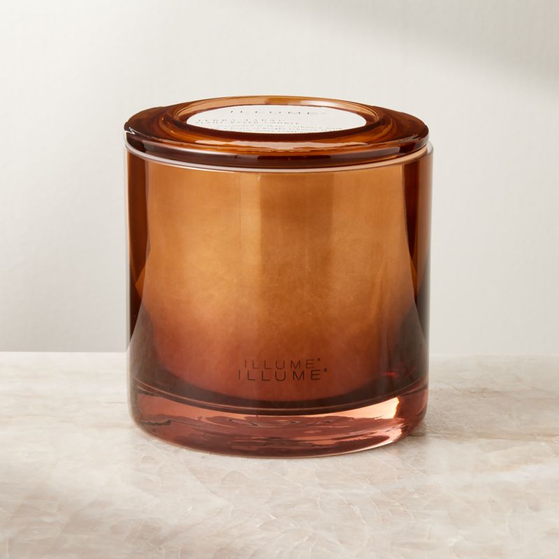 Illume Terra Tabac Scented Candle 20.8oz - image 1 of 3