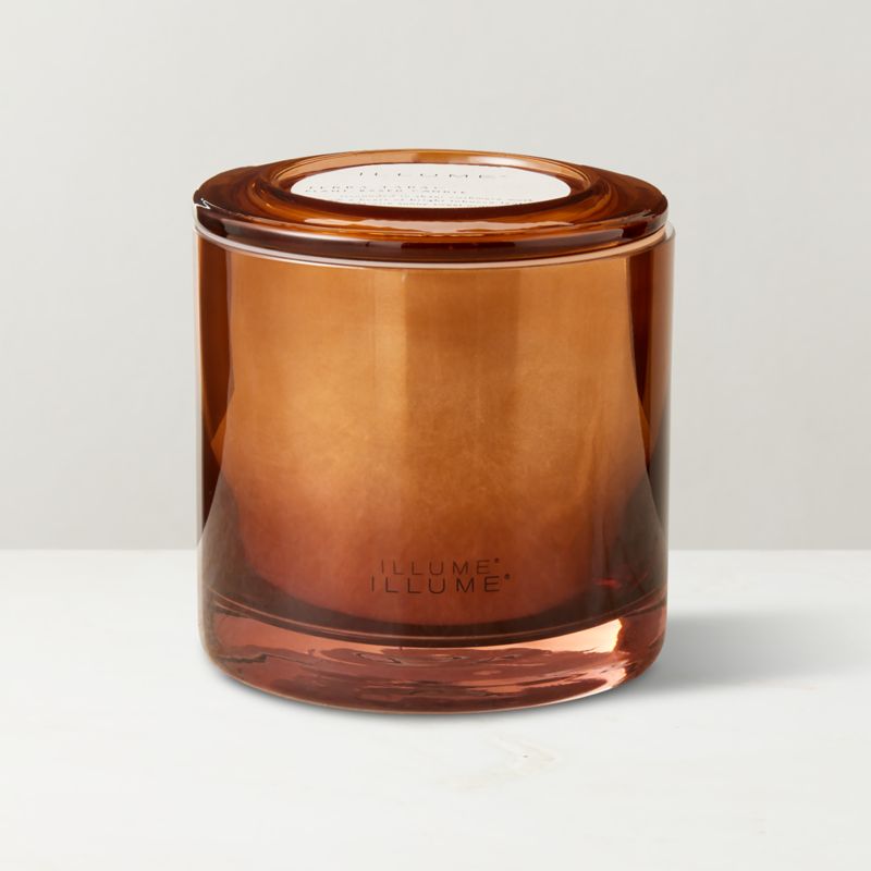 Illume Terra Tabac Scented Candle 20.8oz - image 1 of 3