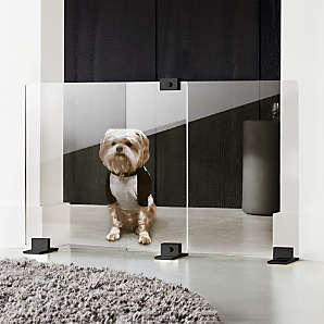 unique pet accessories