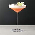 Eve Coupe Cocktail Glass