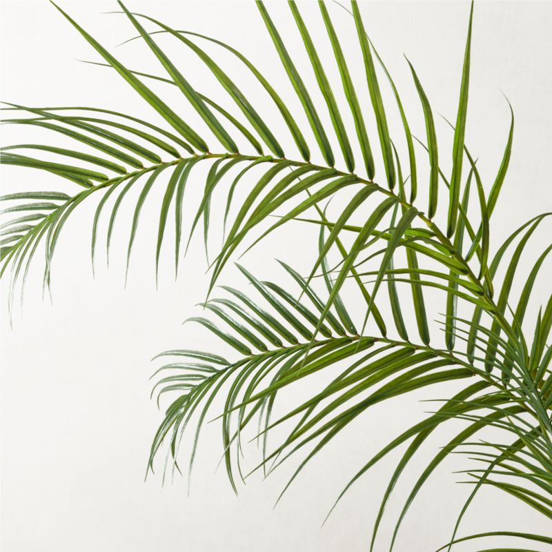 Faux Palm Tree 8' - image 2 of 4