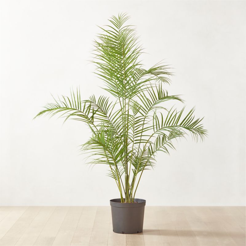 Faux Palm Tree 8' - image 0 of 4