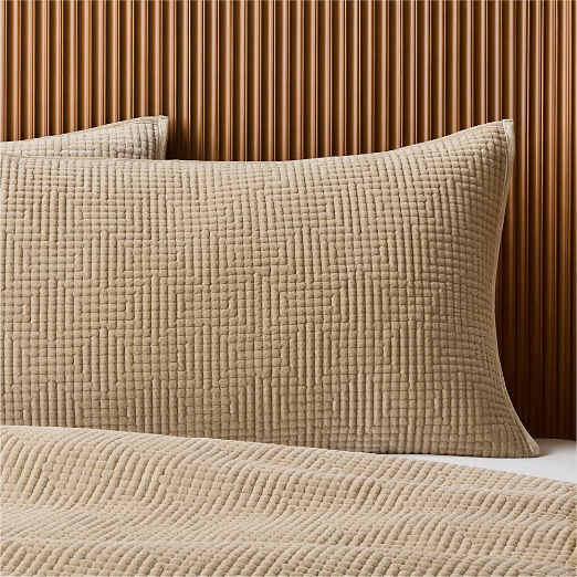 Kolson Light Taupe Organic Cotton Velvet Pillow Shams Set of 2
