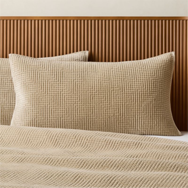 Viewing product image Kolson Light Taupe Organic Cotton Velvet King Pillow Shams Set of 2 - image 1 of 6