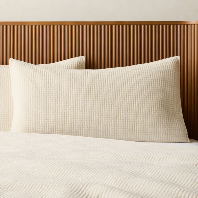 Viewing product image Kolson Warm White Organic Cotton Velvet King Pillow Shams Set of 2 - image 1 of 6