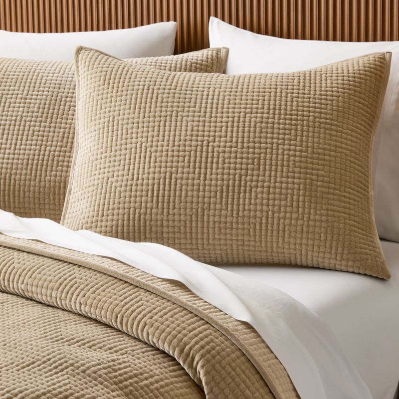 Kolson Light Taupe Organic Cotton Velvet Pillow Shams Set of 2 - image 1 of 5