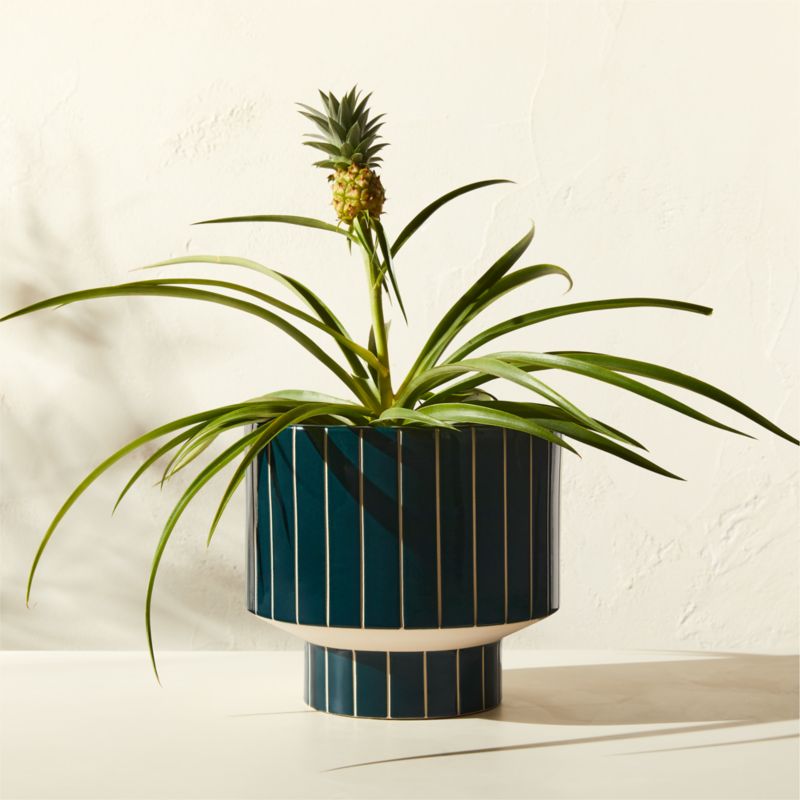 Komo Green Striped Ceramic Indoor/Outdoor Planter Small - image 0 of 5