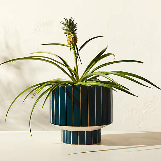 Komo Green Striped Ceramic Indoor/Outdoor Planter Small