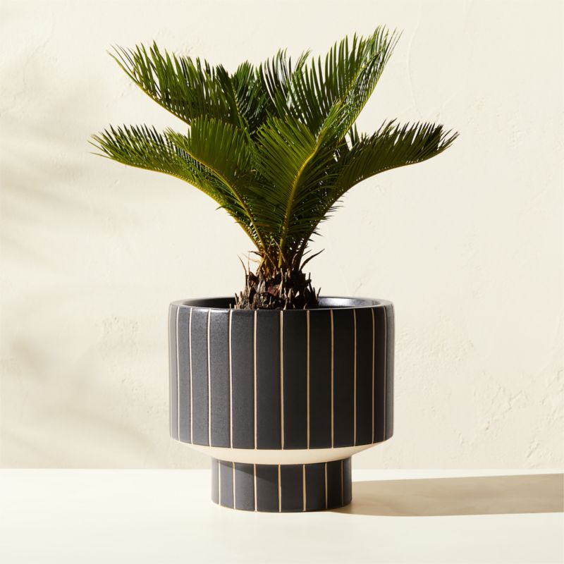 Komo Matte Black Striped Ceramic Indoor/Outdoor Planter Small - image 0 of 5