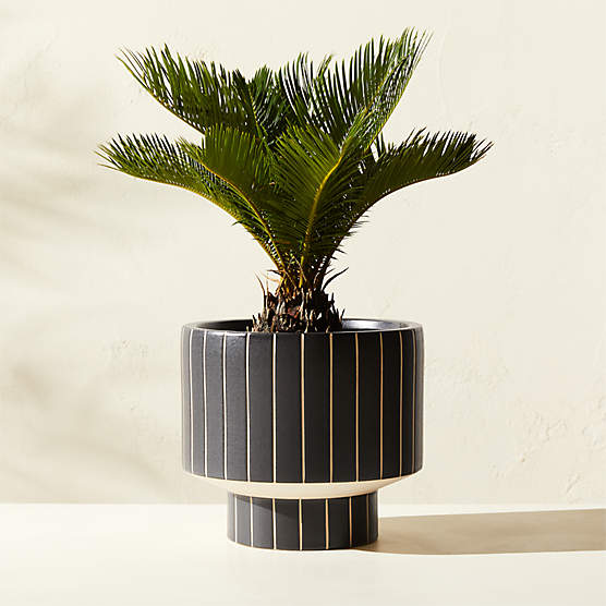 Komo Matte Black Striped Ceramic Indoor/Outdoor Planter Small