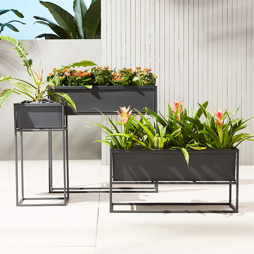 Buy online Toronto M Planter with Metal Stand - A planter with height 