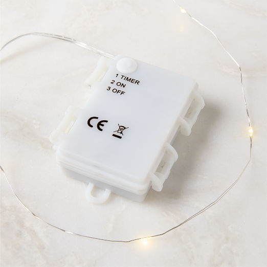 LED Indoor/ Outdoor 10' String Lights