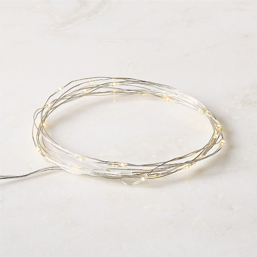 LED Indoor/ Outdoor 10' String Lights