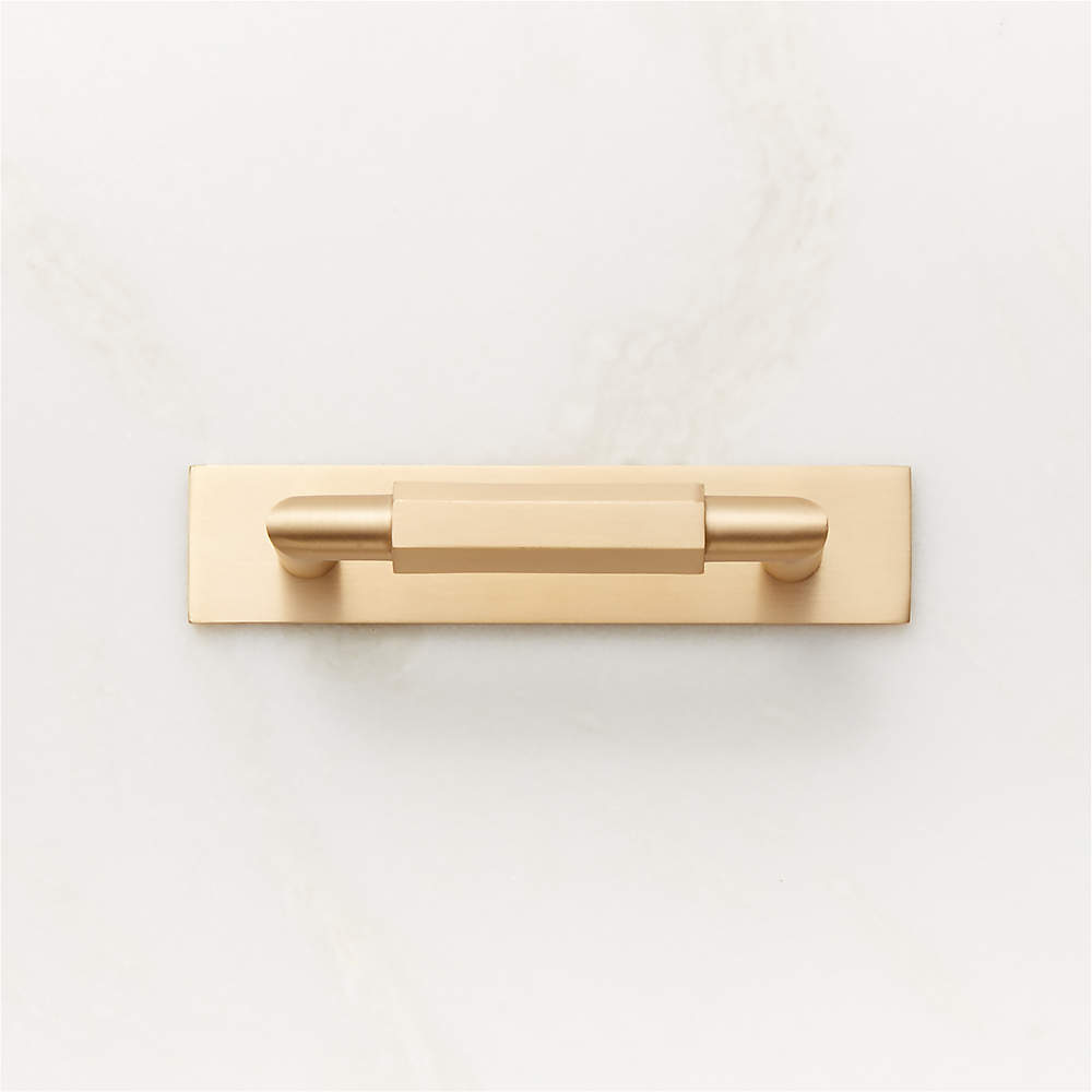 Lavau Brushed Brass Cabinet Handle with Backplate 3