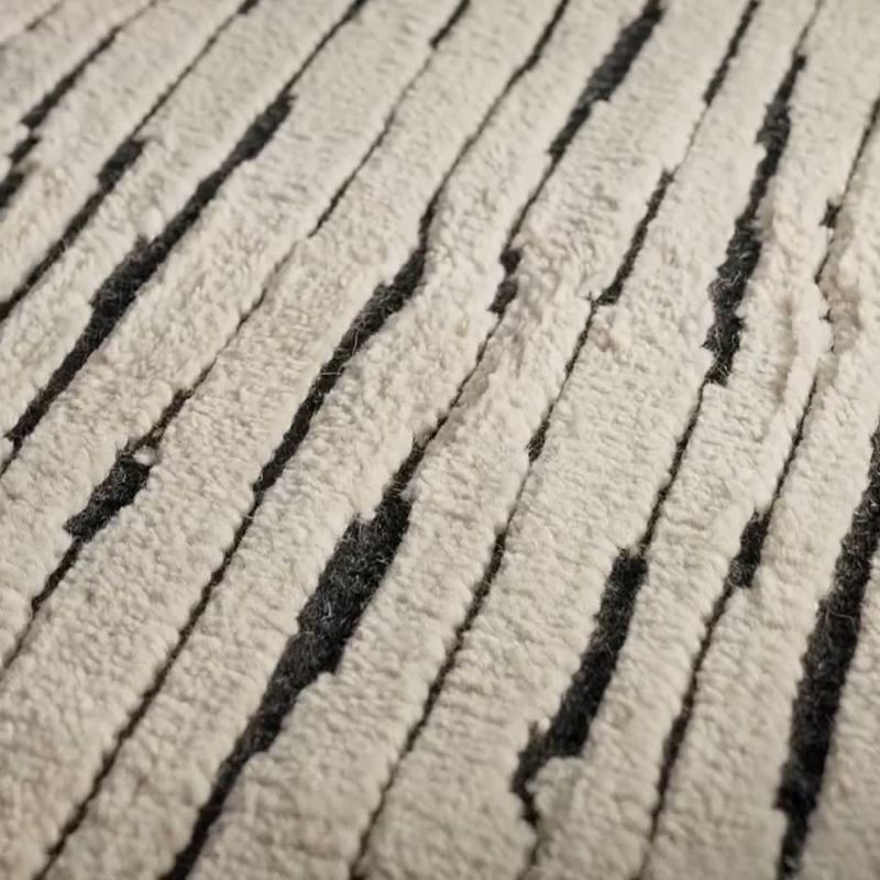 Play Levi Hand-Knotted Black and White New Zealand Wool Area Rug 5'x8' - video 1 of 1