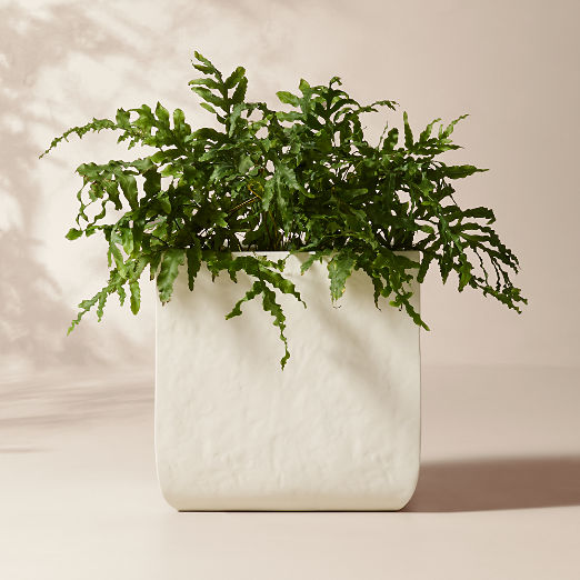 Leyla Ivory Faux Plaster Indoor/Outdoor XL Planter 23.5"H
