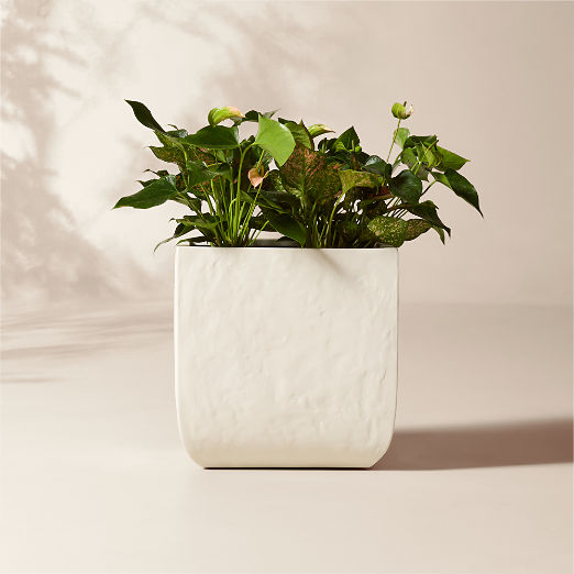 Leyla Ivory Faux Plaster Indoor/Outdoor Medium Planter 16"H